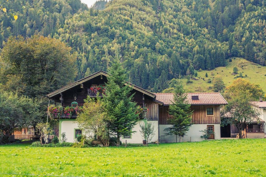 Hirzbachgut Holiday home