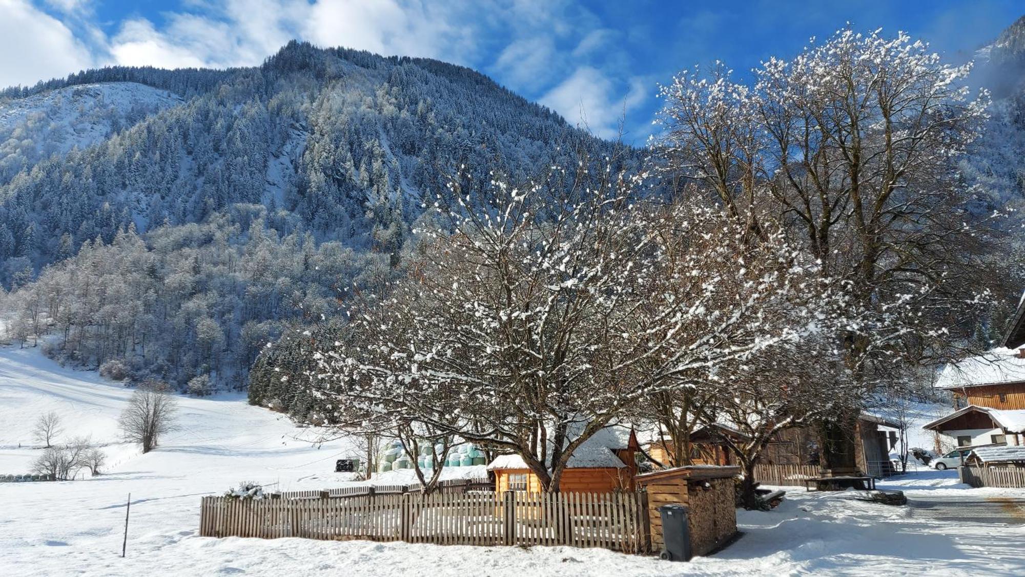 Hirzbachgut