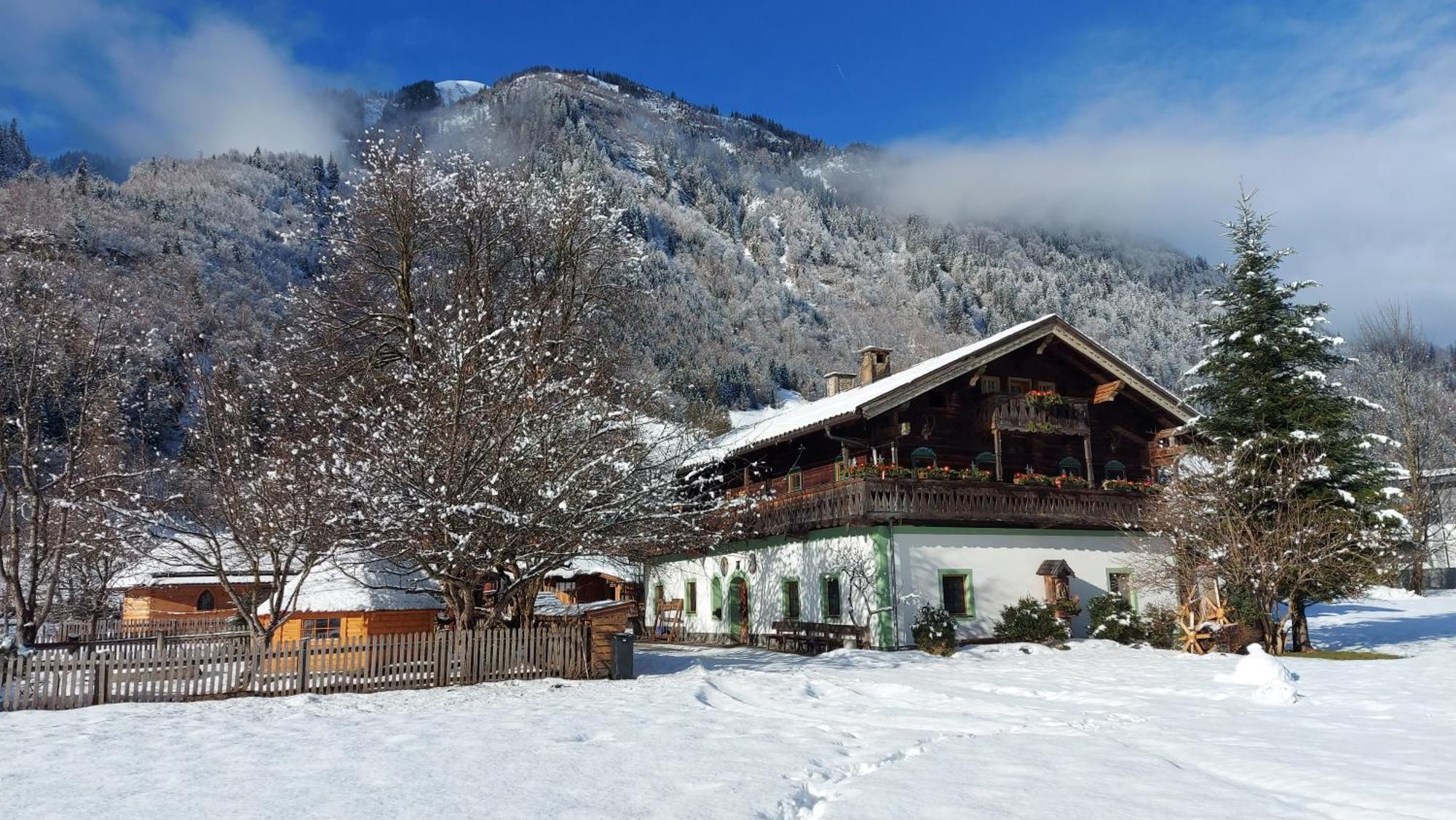 Hirzbachgut Holiday home